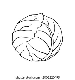 Cabbage Umriss Symbol. Einfaches Pflanzenzeichen. Schwarz-Weiß-Illustration von Bio-Lebensmitteln.