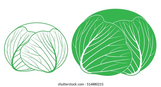 Cabbage outline and silhouette