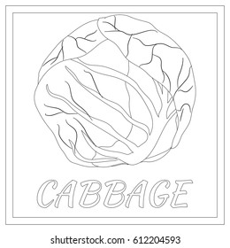 Cabbage Coloring Book Images, Stock Photos & Vectors | Shutterstock