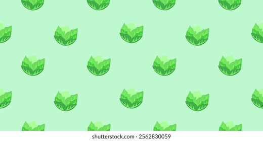 cabbage pattern background. green cabbage seamless pattern. Organic fruit and vegetables pattern background. Green cabbages illustration background.