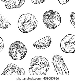 Cabbage pattern including seamless on a white background. Cabbage vector illustration.