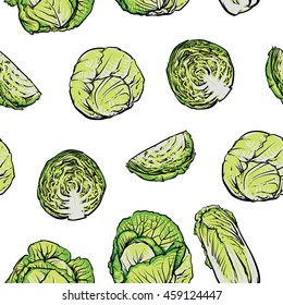 Cabbage pattern including seamless on a white background. Cabbage vector illustration.