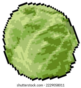 Cabbage Pixel Art einzeln auf weißem, gesundem Hintergrund. Vektorbilder von frischem und Gemüse für Salate und Lebensmittelzubereitungen. Bio-pflanzliche Zutat