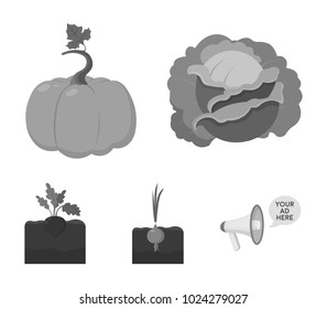 Cabbage, pumpkin, onion, buriak.Plant set collection icons in monochrome style vector symbol stock illustration web.
