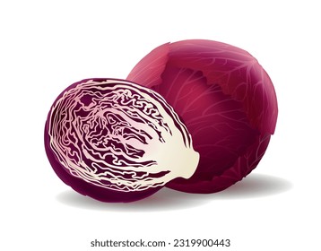 Cabbage red cut. Purple fresh half slice and whole cabbages head agriculture vegetables 3d vector illustration, diet organic cooking sliced plant isolated on white background