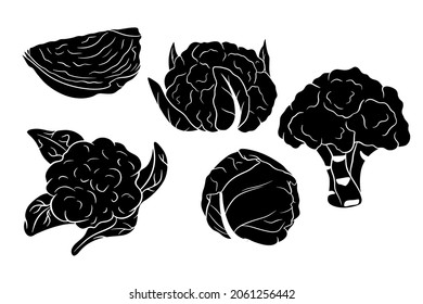 Juego de repollo. Basura fresca, brócoli, coliflor. Silhouette. Ilustración vectorial para diseño y decoración.