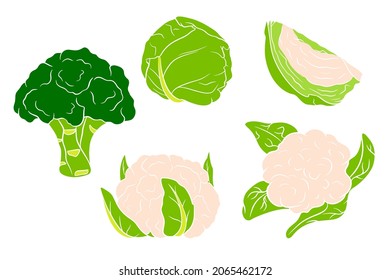 Cabbage set. Fresh cabbage, broccoli, cauliflower. In a cartoon style. Vector illustration for design and decoration.