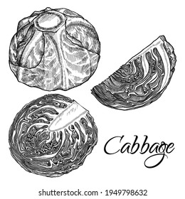 Cabbage set isolated on a white background. Нand drawn vector illustration.