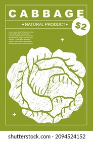 Cabbage. Set of posters of fruits and vegetables in a abstract draw design. Label or poster, price tag. Simple, flat design. Patterns and backgrounds. Perfect for poster, cover, banner.