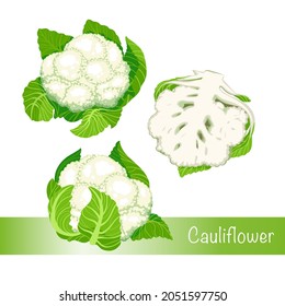 Juego de repollo. Ilustración vectorial de coliflor. Aislado En Un Fondo Blanco. Comida orgánica saludable, verduras verdes frescas en forma de caricatura plana.