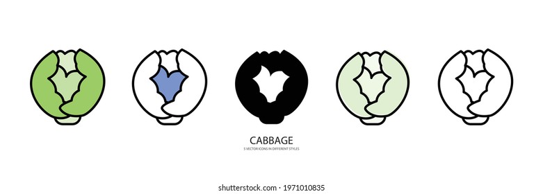 cabbage set vector type icon