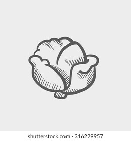 Cabbage sketch icon for web, mobile and infographics. Hand drawn vector dark grey icon isolated on light grey background.