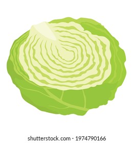 Cabbage slice isolated on white background, vector.