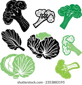 Cabbage. Texture graphic elements. Vector set, collection.