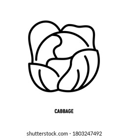 Icono de línea delgada de col. Verdura, ingriente para ensalada. Alimentos orgánicos saludables. Ilustración vectorial.
