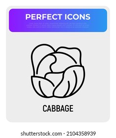 Cabbage thin line icon. Vegetable, ingredient for salad. Healthy organic food. Vector illustration.