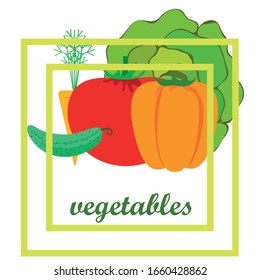 Cabbage, tomato, carrot, pepper, cucumber, fresh vegetables. Organic food poster. Farmer market design. Vector background.