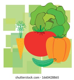Cabbage, tomato, carrot, pepper, cucumber, fresh vegetables. Organic food poster. Farmer market design. Vector background.