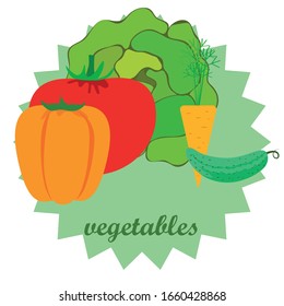 Cabbage, tomato, carrot, pepper, cucumber, fresh vegetables. Organic food poster. Farmer market design. Vector background.