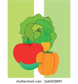 Cabbage, tomato, carrot, pepper, cucumber, fresh vegetables. Organic food poster. Farmer market design. Vector background.