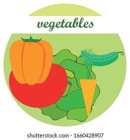 Cabbage, tomato, carrot, pepper, cucumber, fresh vegetables. Organic food poster. Farmer market design. Vector background.