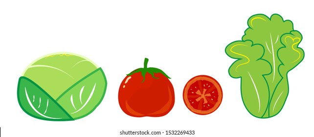 Cabbage tomato and lettuce on a white background.