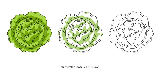 Cabbage top view, colorful and line icons set. Farm vegetable vector outline icon, monochrome, color illustration. Healthy nutrition, organic food, vegetarian product. For sticker, logo, coloring book