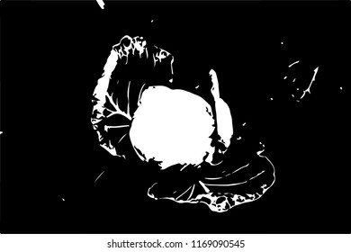 Cabbage in an unusual perspective.