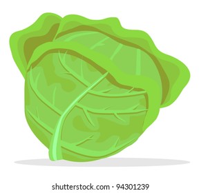 Clip Art Fresh Cabbage Stock Vector (royalty Free) 1921362665