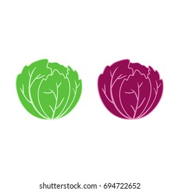 Cabbage Vector Design Image