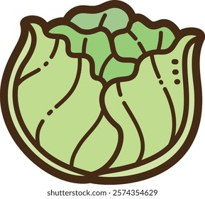 Cabbage vector doodle illustration and graphic