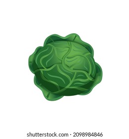 Cabbage vector flat icon. Cabbage head, fresh young cabbage, healthy eating, vegetarians, health care. Vector flat style, cartoon illustration.