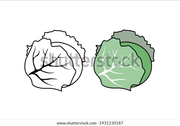 Cabbage Vector Icon Cabage Coloring Book Stock Vector (Royalty Free ...