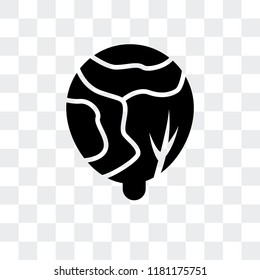 Cabbage vector icon isolated on transparent background, Cabbage logo concept