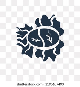 Cabbage vector icon isolated on transparent background, Cabbage transparency concept can be used web and mobile