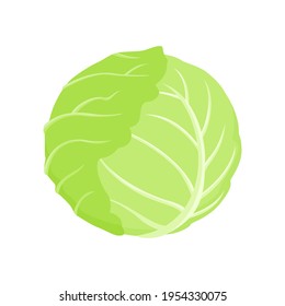 Cabbage vector icon. Simple cartoon illustration of green fresh vegetable.