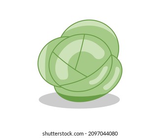 Cabbage vector icon. Vegetables healthy vegetarian food. Organic plant symbol