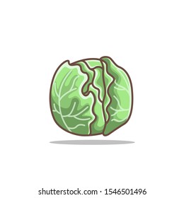 cabbage vector illustration in isolated white