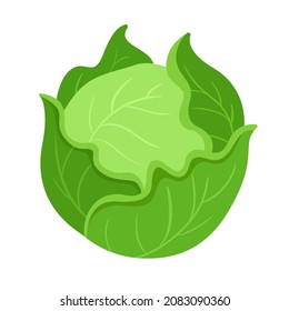 Cabbage Vector Illustration Logo Icon Clipart 