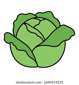 Cabbage vector illustration, simple design