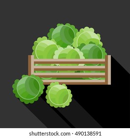 Cabbage vector illustration. Wooden tray for keeping vegetables.