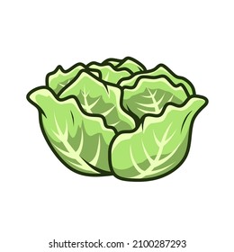 cabbage vector isolated on white background