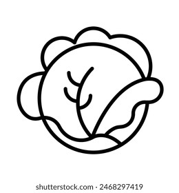 Cabbage Vector Line Icon Design