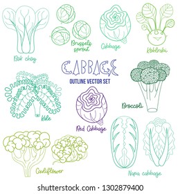 Cabbage Vector Outline Illustration Set. Kohlrabi, Cabbage, Red Cabbage, Kale, Broccoli, Brussels Sprout, Bok Choy, Cauliflower, Napa Cabbage