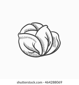 Cabbage vector sketch icon isolated on background. Hand drawn Cabbage icon. Cabbage sketch icon for infographic, website or app.