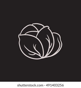 Cabbage vector sketch icon isolated on background. Hand drawn Cabbage icon. Cabbage sketch icon for infographic, website or app.