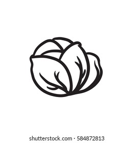 Cabbage vector sketch icon isolated on background. Hand drawn Cabbage icon. Cabbage sketch icon for infographic, website or app.