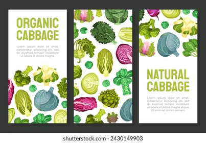 Cabbage Vegetable Banner Design with Crop Vector Template