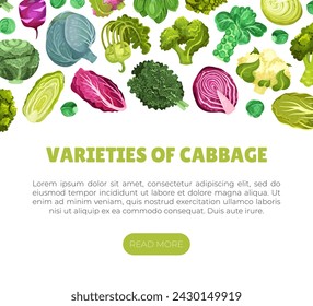 Cabbage Vegetable Banner Design with Crop Vector Template