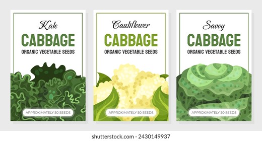 Cabbage Vegetable Banner Design with Crop Vector Template